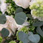 Close-up of eucalyptus leaves and white flowers creating a fresh, natural bouquet.