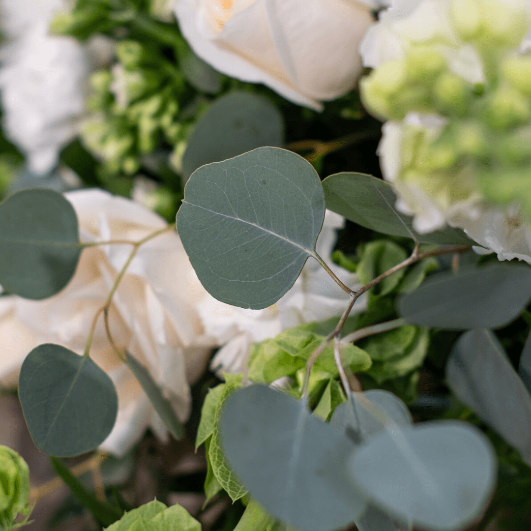 Close-up of eucalyptus leaves and white flowers creating a fresh, natural bouquet.