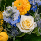 Colorful floral bouquet with white rose, yellow daisy, and blue flowers, showcasing nature's vibrant beauty.