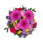 Vibrant floral bouquet with pink gerbera daisies, roses, and mixed colorful blooms on a white background.