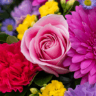 Vibrant bouquet with a pink rose, red carnation, yellow, and purple flowers. Perfect for floral design inspiration.