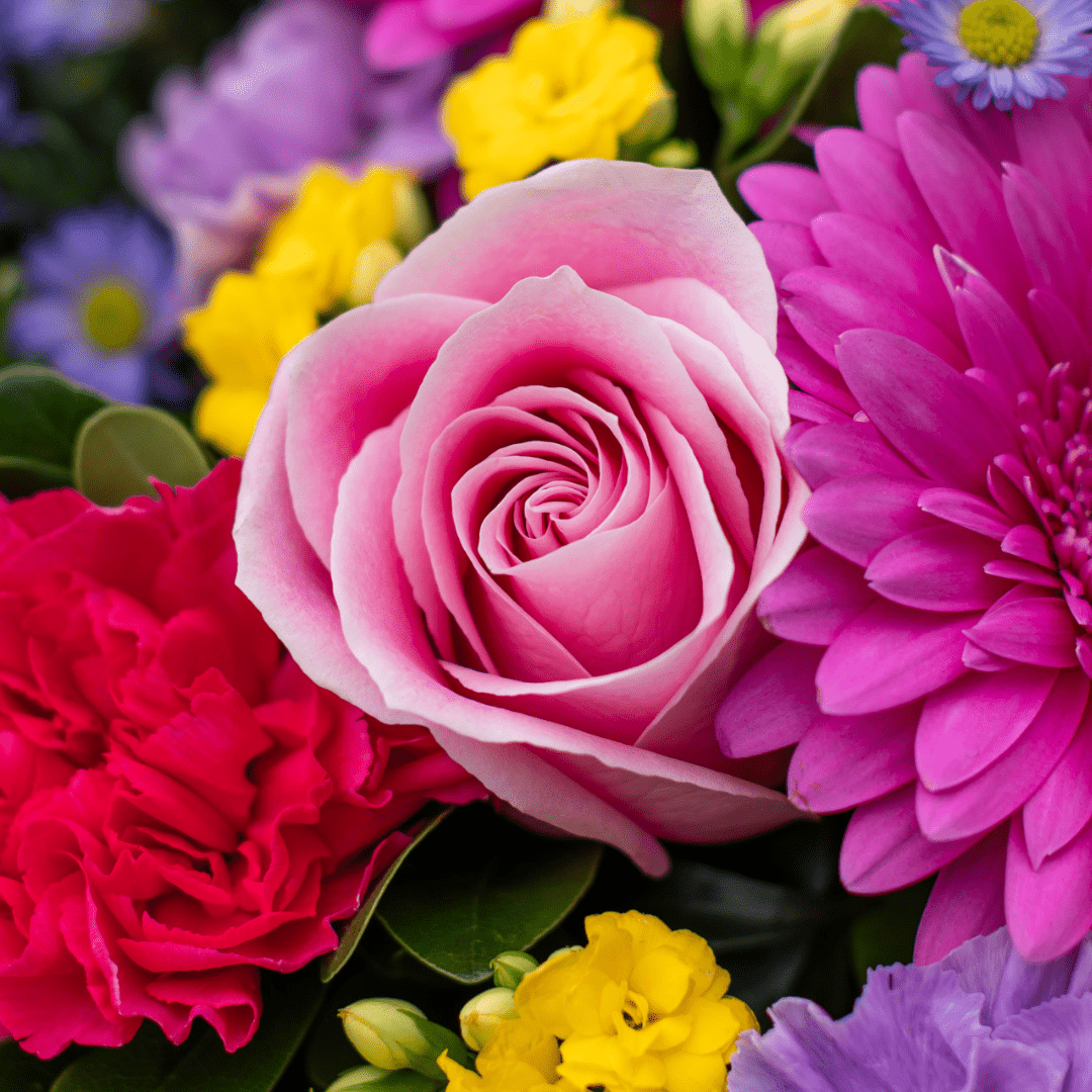 Vibrant bouquet with a pink rose, red carnation, yellow, and purple flowers. Perfect for floral design inspiration.