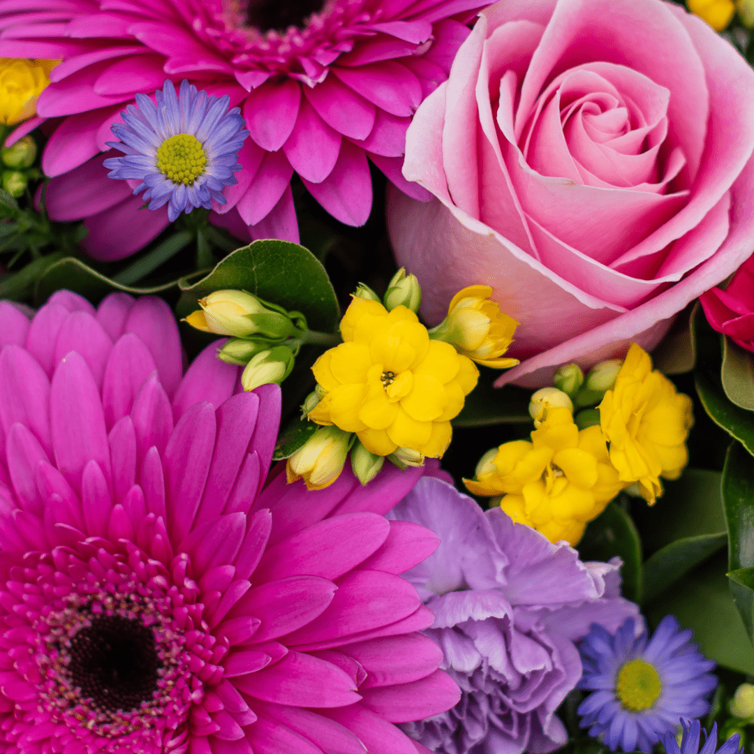 Vibrant bouquet of pink gerbera daisies, roses, yellow flowers, and purple accents. Perfect for spring celebrations.