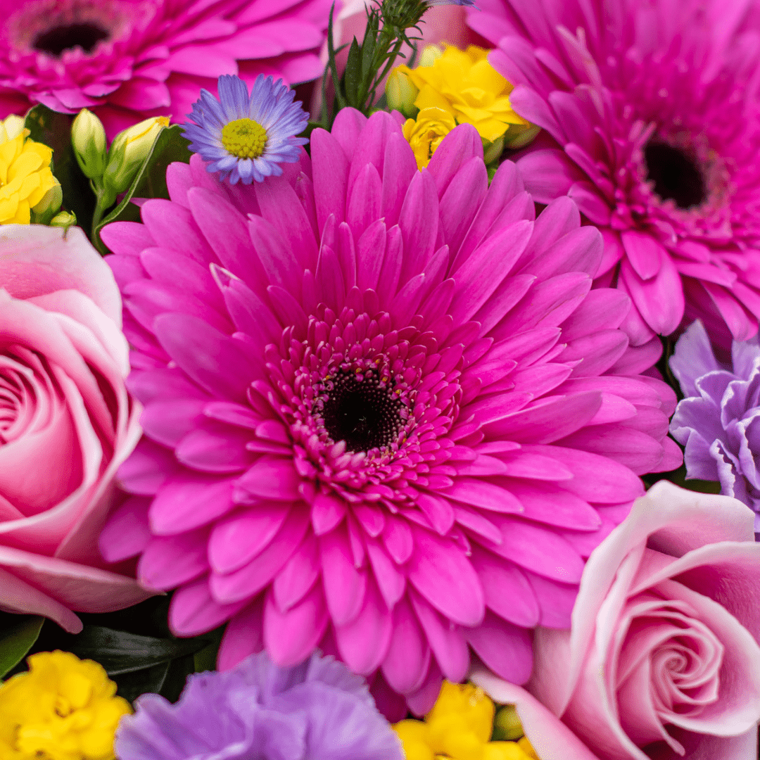 Vibrant bouquet of pink gerbera daisies and roses with yellow and purple accents, showcasing lush spring blooms.