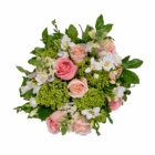 Elegant bouquet of pink roses, white freesias, and green hydrangeas with lush greenery, perfect for celebrations.