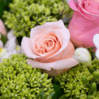 Close-up of a delicate pink rose surrounded by green foliage, showcasing nature's beauty in a floral arrangement.
