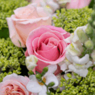 Pink roses and white flowers in a lush bouquet, highlighting delicate beauty and vibrant greenery.