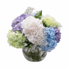 Mixed hydrangea bouquet in a glass vase featuring purple, white, green, and blue flowers with delicate baby's breath accents.