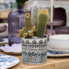 Stylish patterned pot with vibrant cacti centerpiece on a wooden table setting, enhancing home decor.
