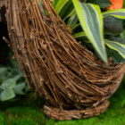 Woven basket with twisted branches and green leaves on lush moss background. Nature-inspired home decor.