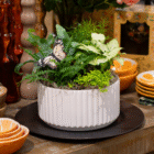 Decorative white pot with lush green plants and a butterfly, displayed on a table with colorful dishes.