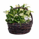 Wicker basket filled with lush green plants and white flowers, adorned with a small angel figurine.