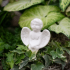 White porcelain angel figurine nestled among green foliage.