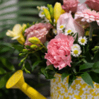 Vibrant pink and yellow flowers in a daisy-patterned watering can, perfect for springtime decor.