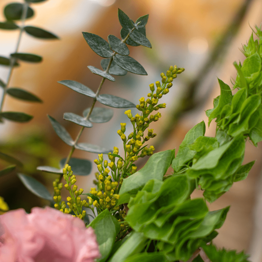 Close-up of vibrant green foliage with yellow buds and soft pink flower, creating a natural and serene botanical scene.