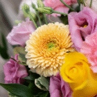 Vibrant floral bouquet with yellow chrysanthemum, pink, and yellow roses, accented by lush green leaves.