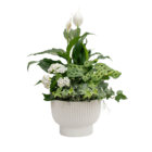 White ceramic pot with peace lily, prayer plant, ivy, and kalanchoe, lush indoor greenery arrangement on white background.