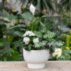 Elegant white ceramic pot with lush green foliage and white flowers on a wooden table, ideal for indoor decor.