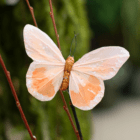Artificial orange butterfly with sparkling accents on a branch, set against a blurred green background.