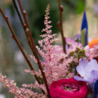 Close-up of a colorful floral bouquet featuring pink astilbe and vibrant ranunculus blooms amidst delicate greenery.