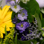 Vibrant bouquet featuring a yellow daisy, purple flowers, and lush green leaves for a fresh, colorful display.