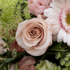 Delicate bouquet with a blush rose and daisy, surrounded by lush green foliage and soft pink petals.