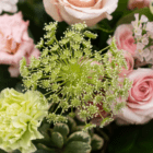 Bouquet with pink roses, green carnations, and delicate white flowers, showcasing vibrant floral arrangement.
