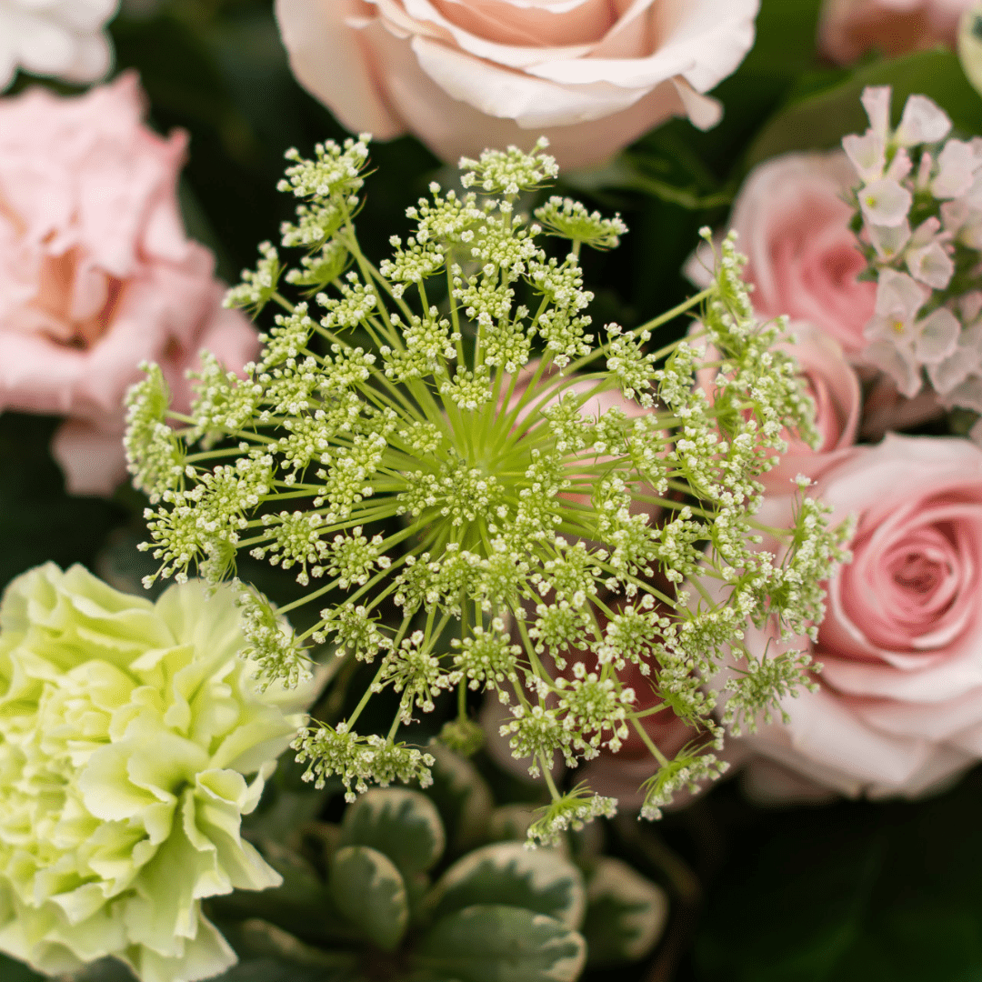 Bouquet with pink roses, green carnations, and delicate white flowers, showcasing vibrant floral arrangement.