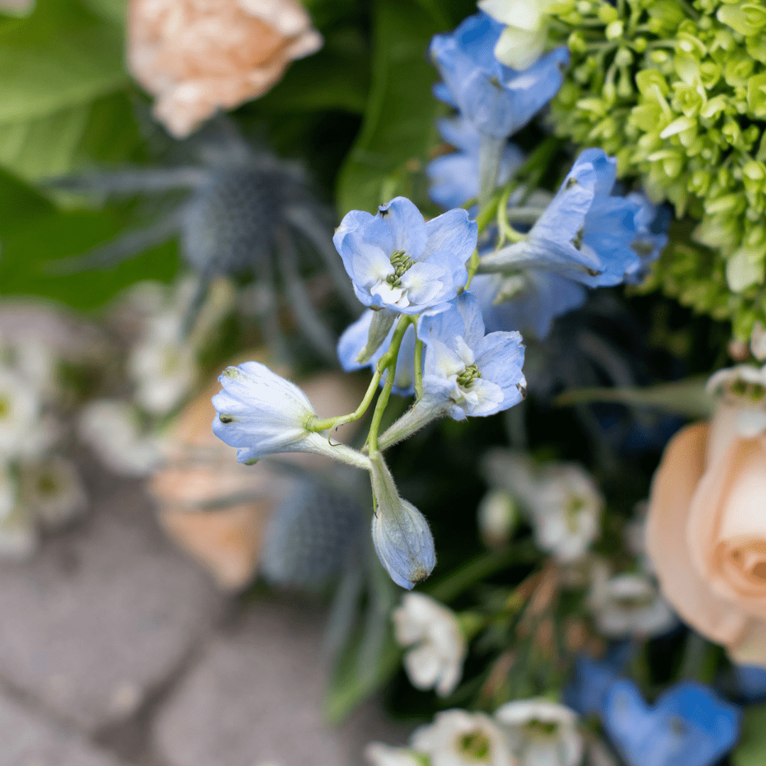 Delicate blue flowers with mixed greenery and peach roses create a vibrant, fresh bouquet.