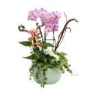 Elegant floral arrangement with pink orchids, red calla lilies, and greenery in a chic white pot.