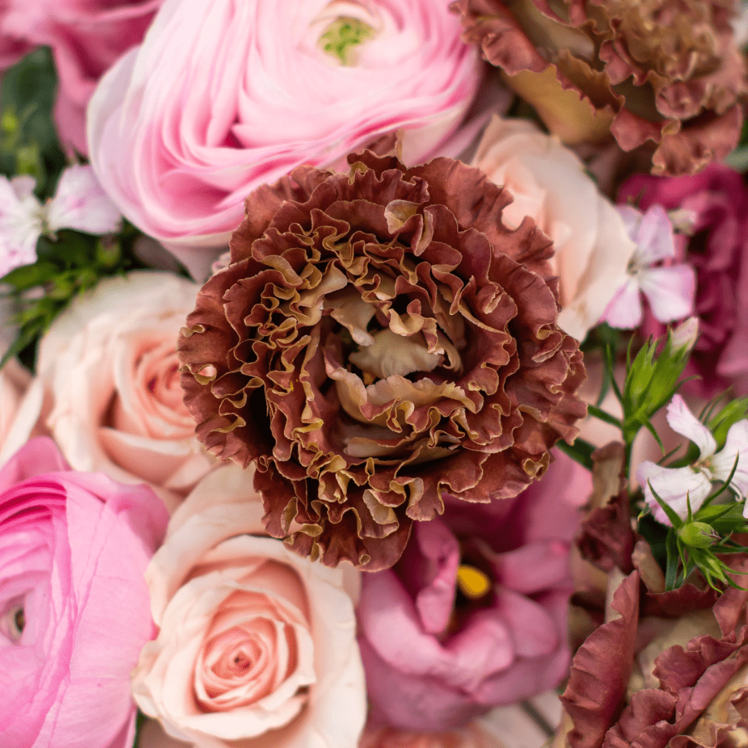 A close-up of a chocolate-coloured lisanthus in a fresh floral arrangement.