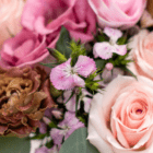 A close-up of a stem of pink dianthus in a fresh floral arrangement.