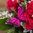 A close-up of a fuchsia-coloured decorative butterfly pick in a floral arrangement.