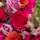 A close-up of a bold pink carnation in a fresh floral arrangement.