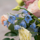 A close-up of a blue delphinium in a fresh floral arrangement.
