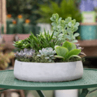 A succulent planter in a shallow stone-coloured bowl with decorative green moss around. It sits on a dark green patio table.