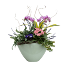 An indoor mixed planter in a sage container with a pink/purple Phalaenopsis orchid, pink kalanchoe, purple African violet, and faux stems of lavender.