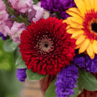 A close-up of the red gerbera in a fresh floral arrangement.