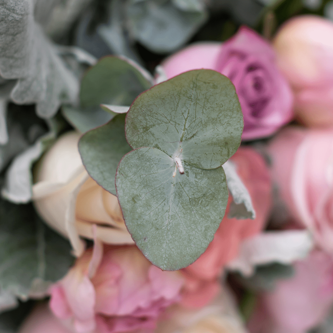 A close-up of the eucalyptus leaves in a floral arrangement.