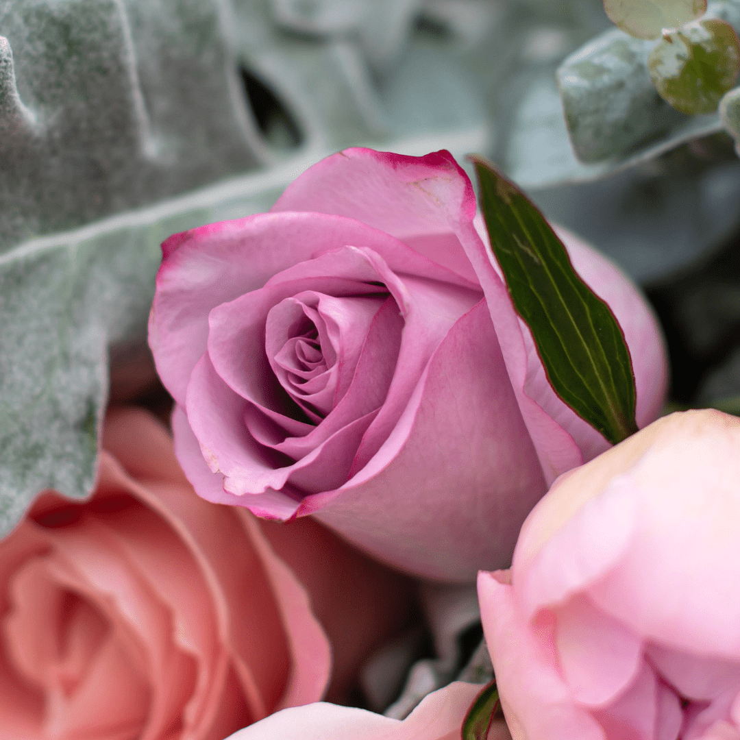 A close-up of a pink-purple rose in a floral arrangement.