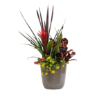An image of an indoor/outdoor mixed planter with a red bromeliad, yellow and orange million bells, a colourful croton, a red-purple dracaena spike, and a green-yellow snake plant in a neutral grey/beige container.