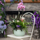 An image of an indoor mixed planter in a sage ceramic pot with a pink-purple orchid, white peace lily, dark purple African violet, green fern, etc. The planter sits on a cream-coloured metal bistro style chair in front of a purple and pink display.