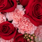 A close-up of two pink carnations in a floral arrangement surrounded by red roses.