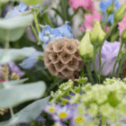 A close-up of a delicate brown tissue-paper like flower in a wildflower bouquet.