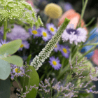 A close-up of a white veronica bloom in a wildflower bouquet.