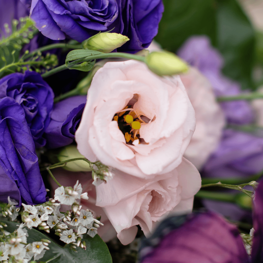 A close-up of a pale pink lisianthus in a fresh floral arrangement with other purple flowers.