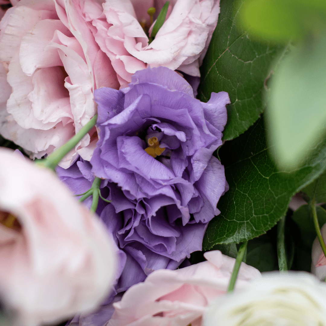 A close-up of lavender lisianthus blooms in a fresh floral arrangement with other pale pink flowers.