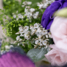A close-up of small white statice flowers in a fresh floral arrangement.