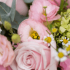 A close-up of pink lisianthus in a fresh floral arrangement.