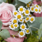 A close-up of small white and yellow daisy-like flowers in a floral arrangement.